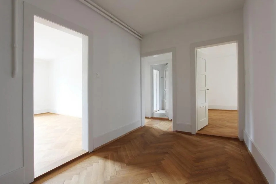 Schöne grosse Wohnung im Mattenhofquartier