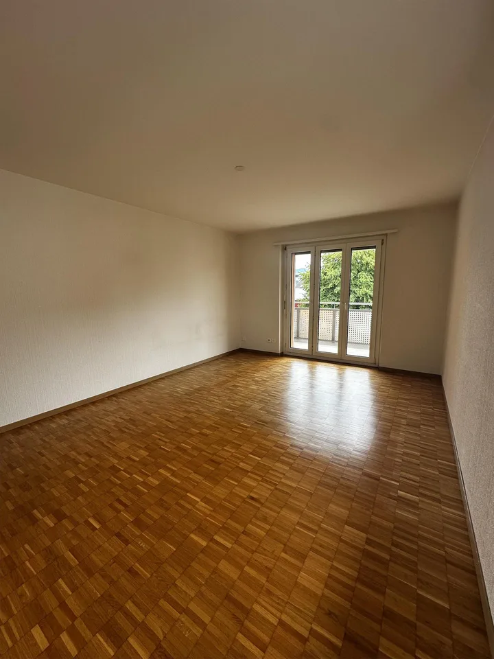 Appartamento luminoso con balcone in una zona tranquilla di Wetzikon