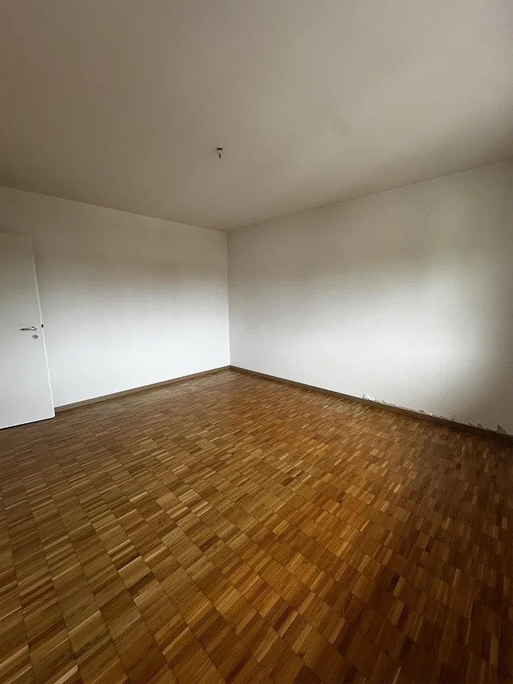 Appartamento luminoso con balcone in una zona tranquilla di Wetzikon