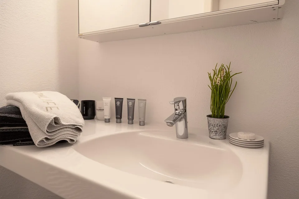 Möbliertes 1.5-Zimmer-Apartment mit Service im Herzen von Luzern