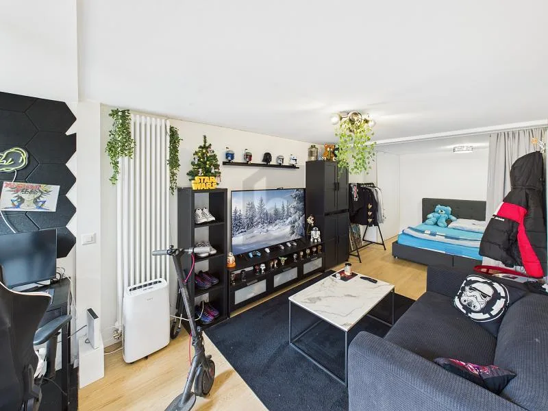 CITY APARTMENT LIVING IN GREEN (SEMI-DETACHED HOUSE)
