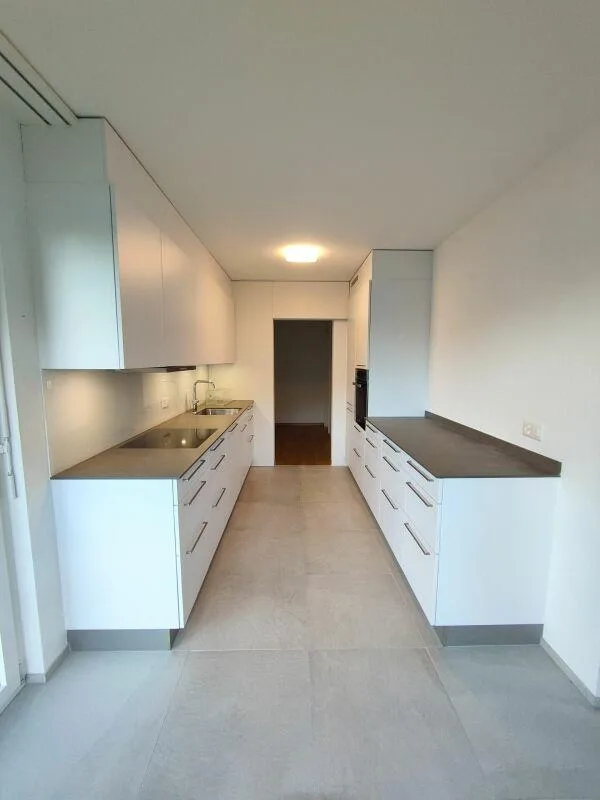 Ampio appartamento di 4.5 locali a Reinach