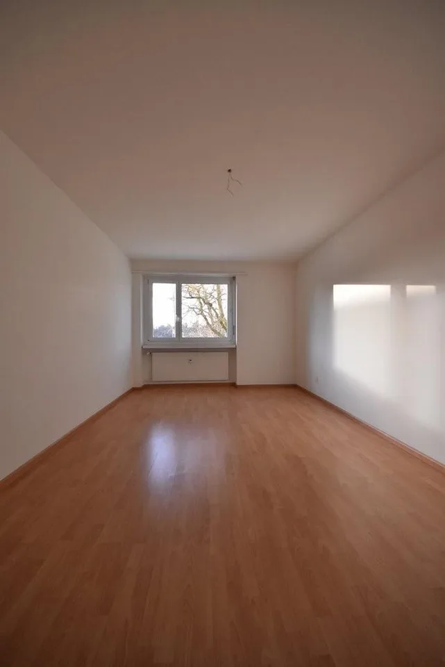 Appartement familial cherche occupants à Therwil