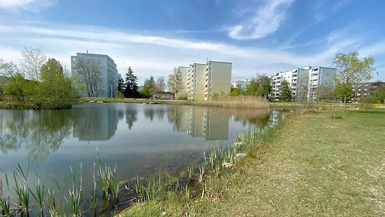 5½ ZI-WOHNUNG IN VOLKETSWIL (ZH), MÖBLIERT – photo 19 of 20
