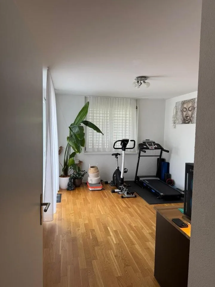 Appartamento mansardato moderno con grande terrazza in affitto