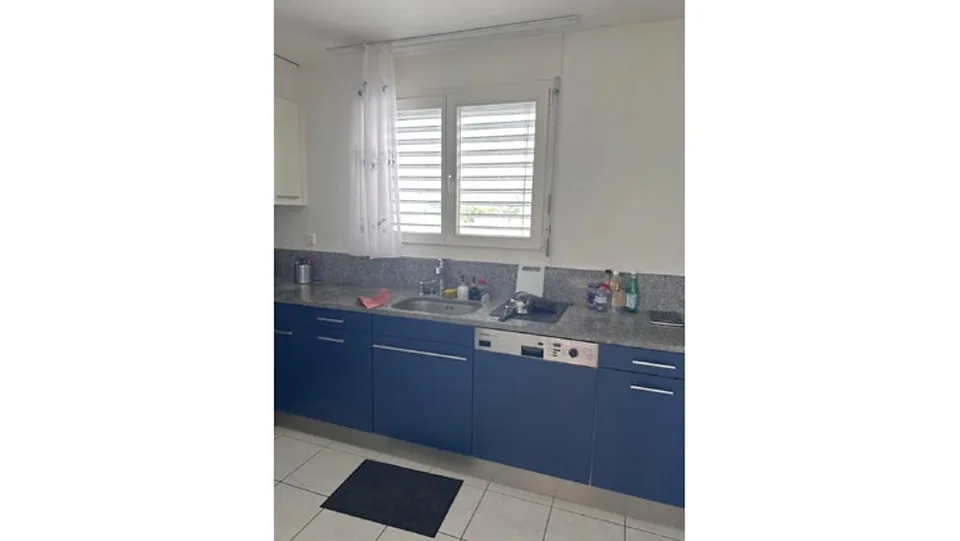 4½ ZI-WOHNUNG IN REINACH (BL), MÖBLIERT, TEMPORÄR