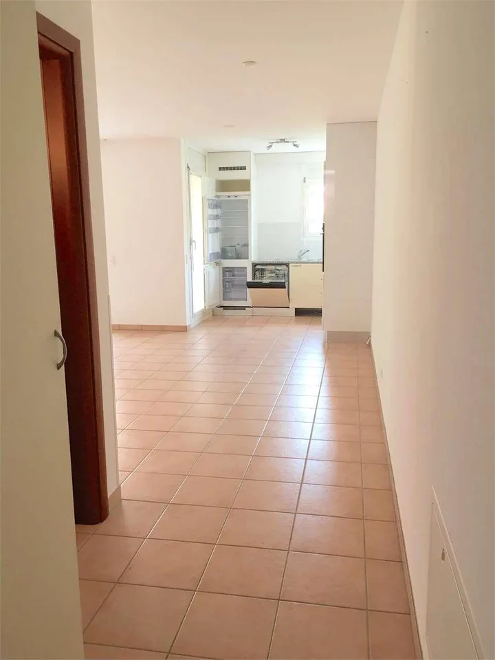 Geräumige und helle Wohnung in Breganzona