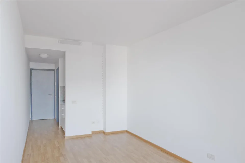 Appartement mit 1.5 Zimmern in Paradiso