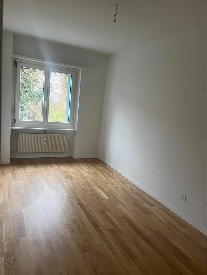 Ampio appartamento di 4 locali in affitto a Füllinsdorf