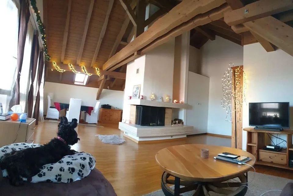 Apartment seeks single
