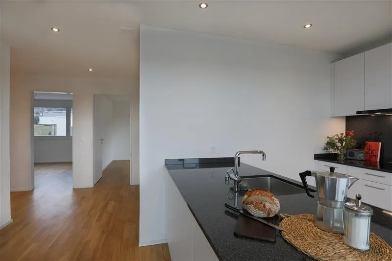 Wohnen mit Aussicht - 66 m2 grosse Terrasse!