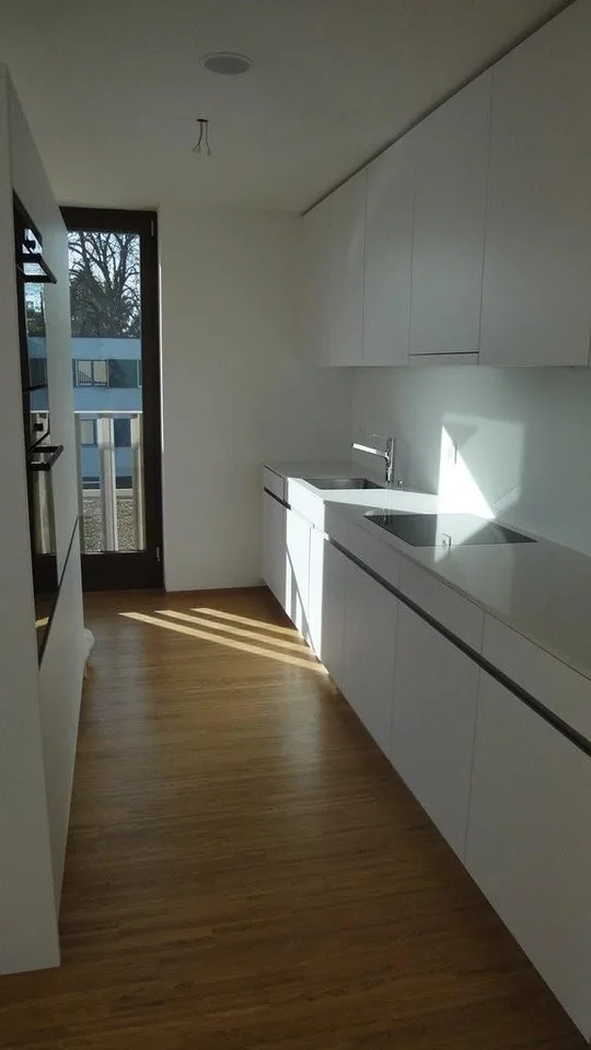La plus belle vue à Zurich !
