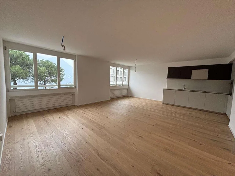 Paradiso appartamento 2,5 locali ristrutturato vista lago