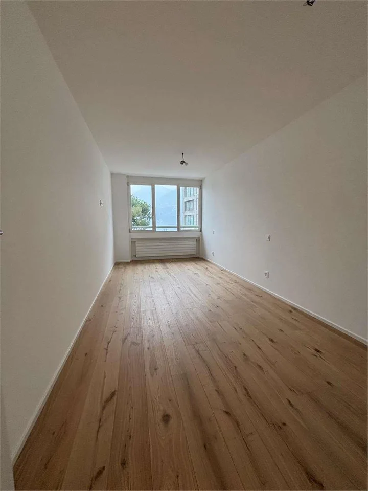 Paradiso appartamento 2,5 locali ristrutturato vista lago