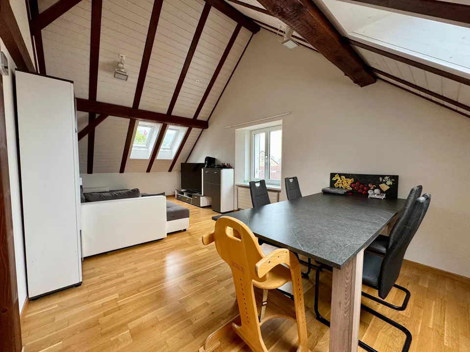 Top modern at the best price