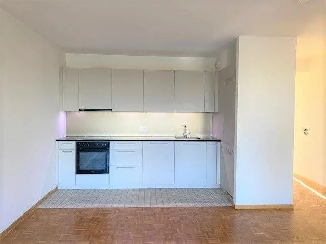 Spacieux 5 pièces - Quartier de la Servette