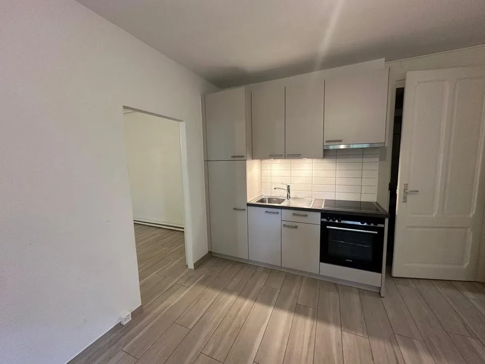 Zu ergattern! Apartment im Herzen von Genf!