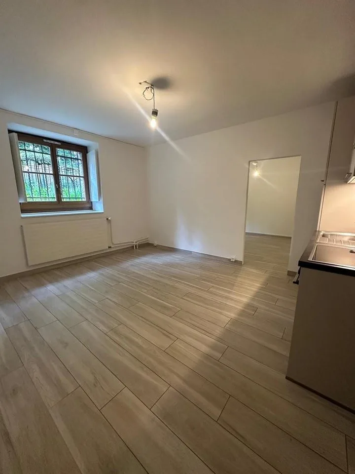 Zu ergattern! Apartment im Herzen von Genf!