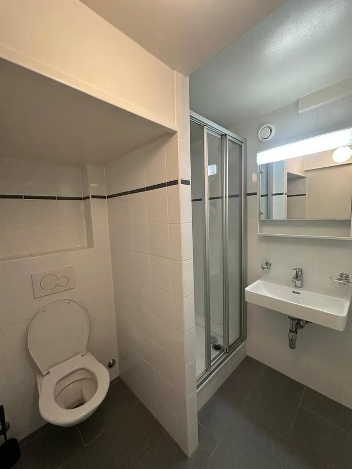 Zu ergattern! Apartment im Herzen von Genf!