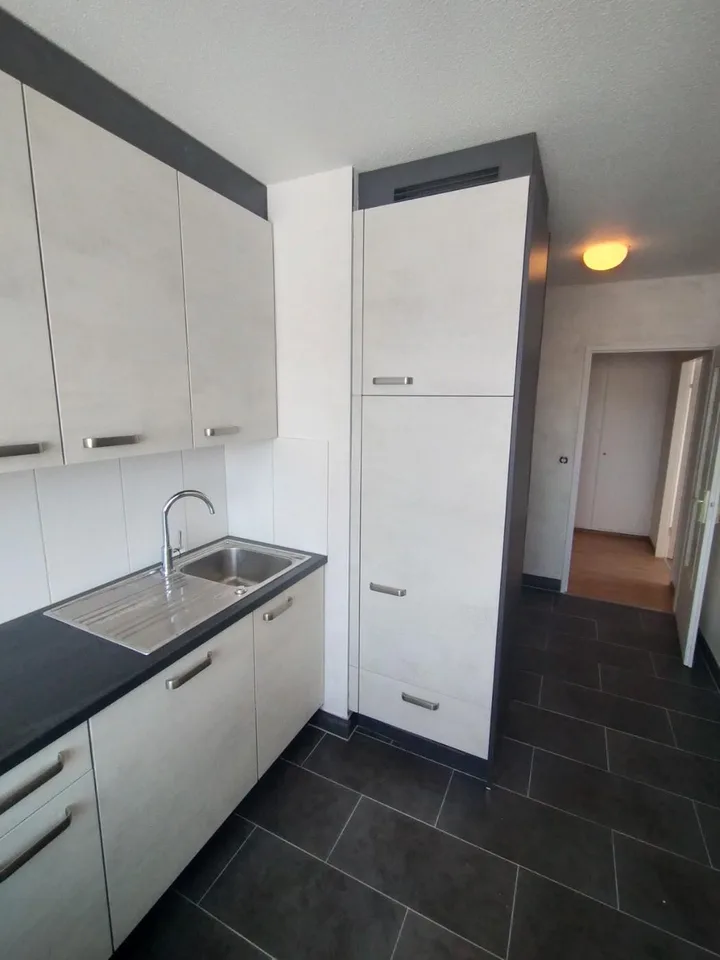 Im Zentrum von Malley prächtiges renoviertes Apartment mit Balkon und Aussicht