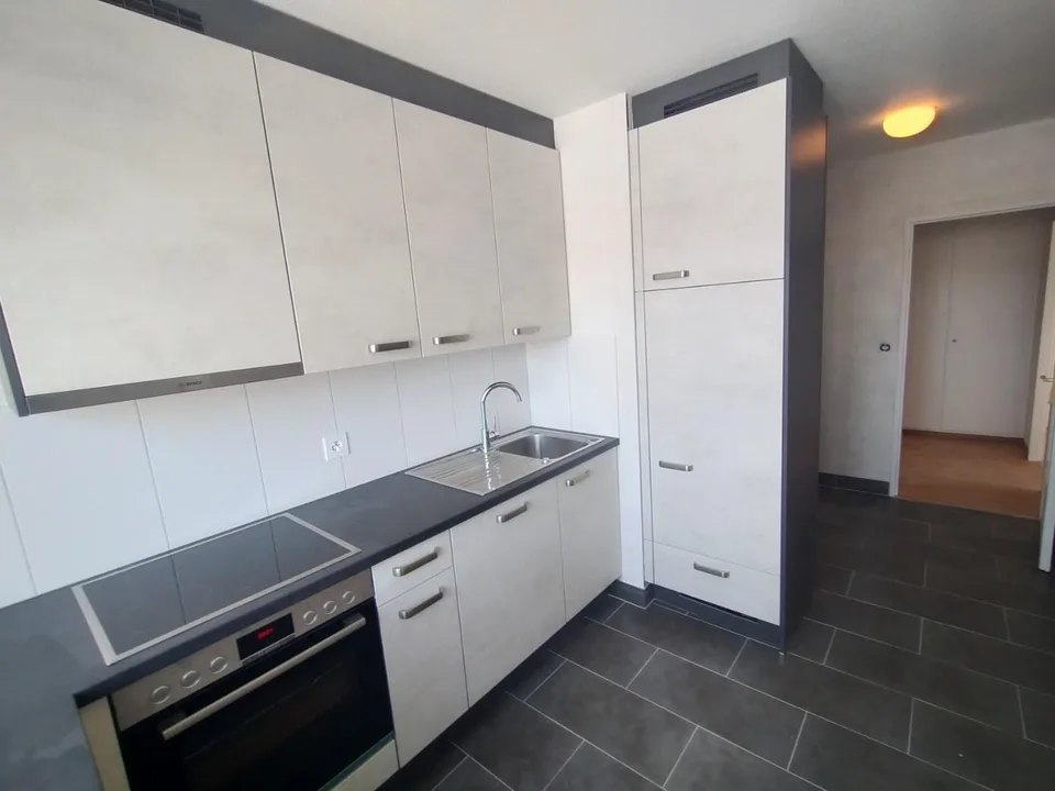 Im Zentrum von Malley prächtiges renoviertes Apartment mit Balkon und Aussicht