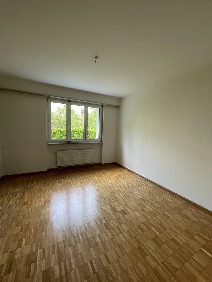 Appartamento di 3 camere in affitto a Frenkendorf