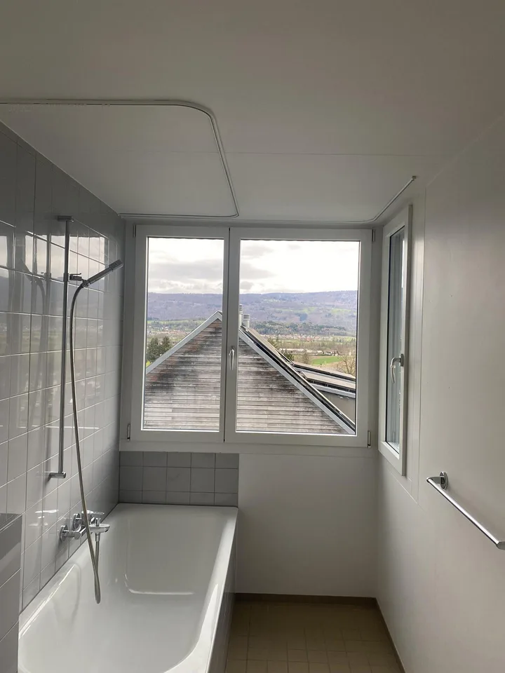 Charmante Wohnung mit grossem Balkon