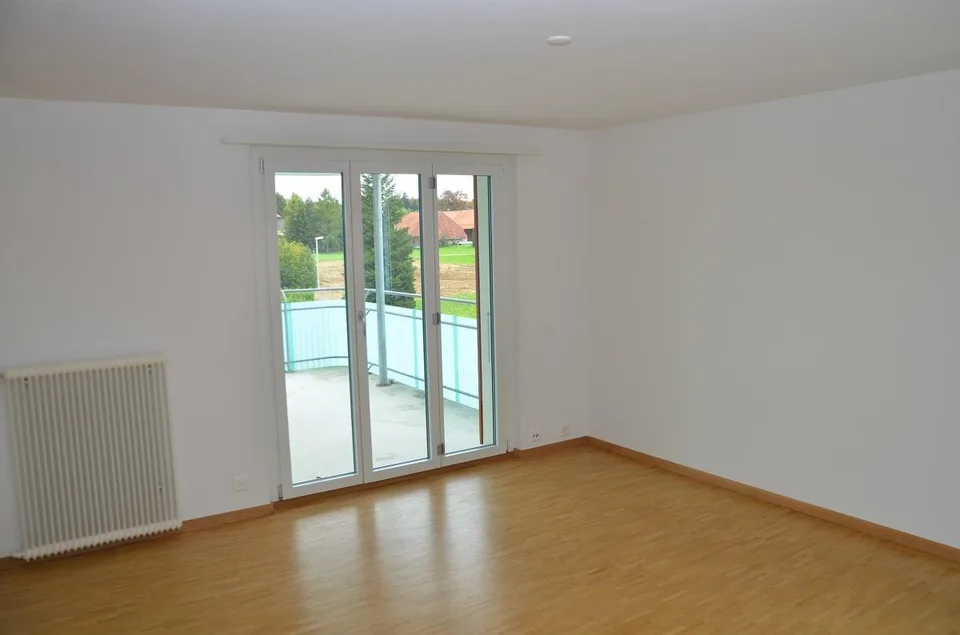 Charmante Wohnung mit grossem Balkon