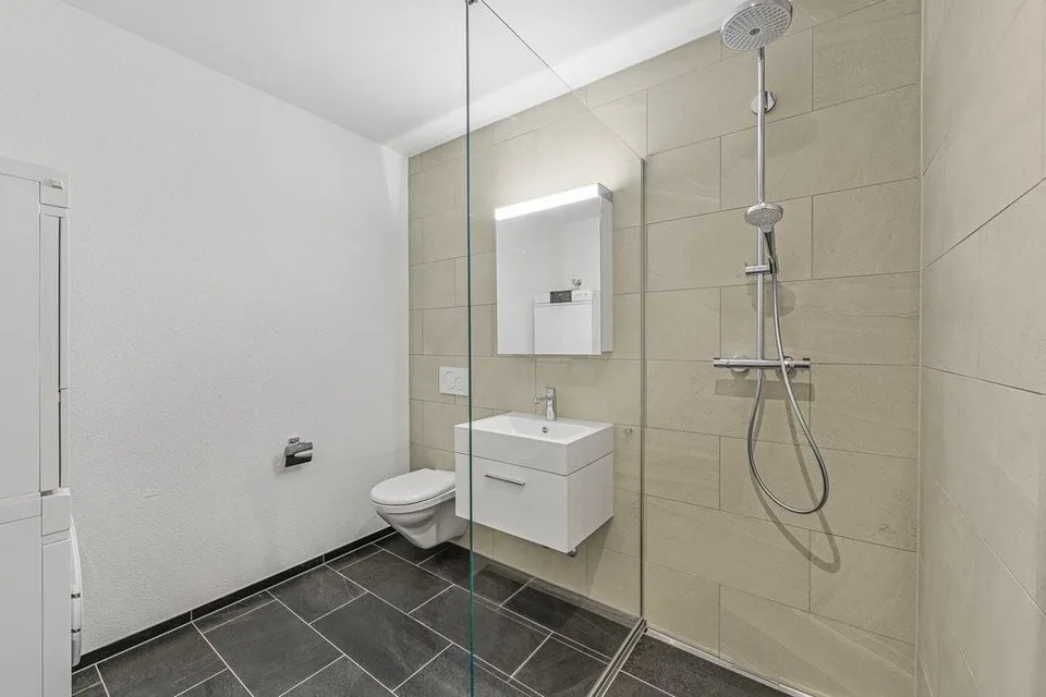 Modernes Wohnen in Aarau-Rohr