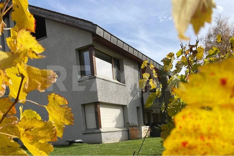 Wohnen in den Rebbergen von Malans - Herrschaftliches Einfamilienha...