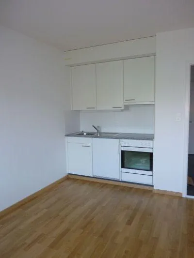 hübsche Singlewohnung im Fischermätteli Quartier