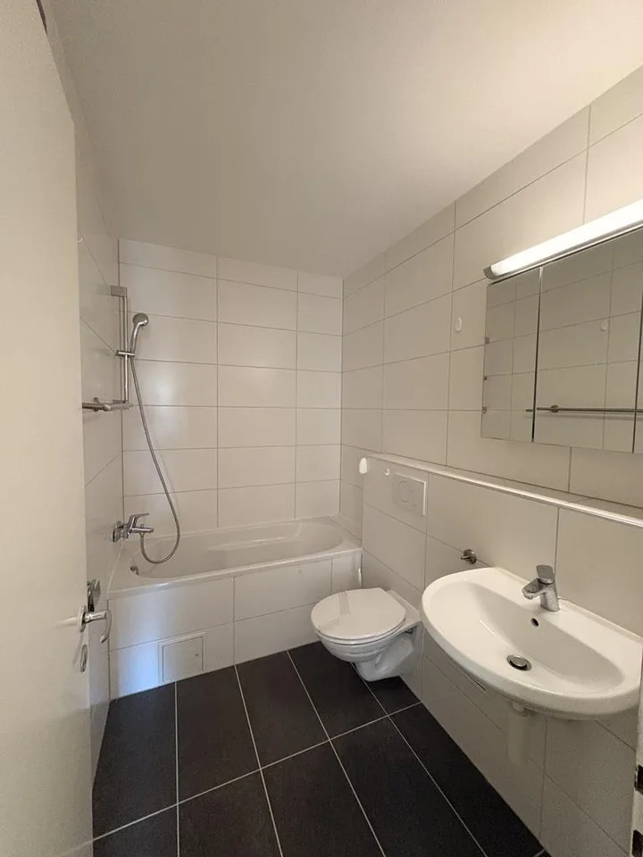 Charmante Wohnung im obersten Stock mit grossem Balkon