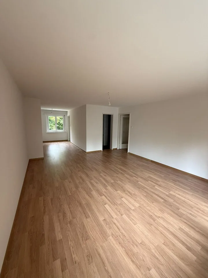 Ampio appartamento di 5.5 locali con balcone a St. Gallen
