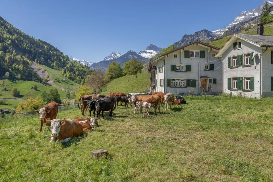 Neubau | 5.5-Zi-Einfamilienhaus "Adler" – Foto 7 von 8