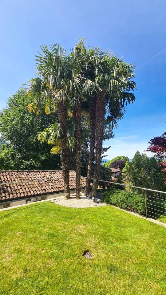 Villa Luganese: Eine Oase von seltener Eleganz und absoluter Privatsphäre, nur wenige Minuten von Lugano entfernt