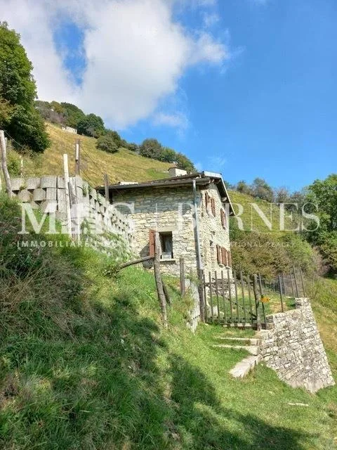 Rustico arredato con terreno 2'000 mq a Roncapiano, Valle di Muggio – photo 8 of 8