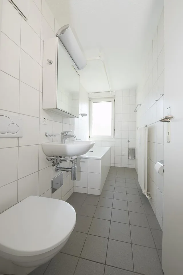 Vivere in una zona tranquilla ad Arlesheim – foto 7 di 7