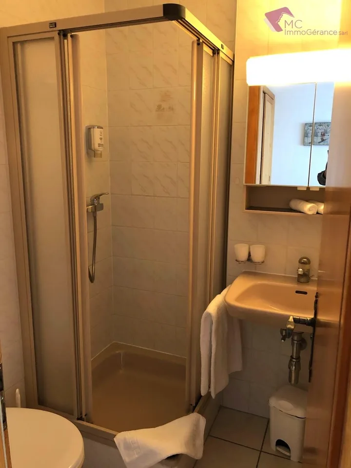 Ovronnaz - Charming South-facing studio located in the Mayen Blanc neighborhood