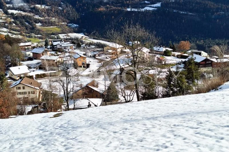 Bergtraum (Los D)