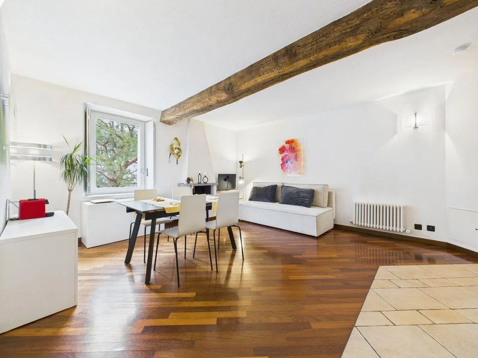 Charmante 2½-Zimmer-Wohnung mit traumhaftem Seeblick im Herzen von Morcote