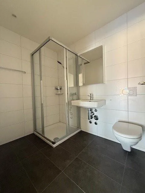 Traumhafte 3.5-Zimmer-Attikawohnung in Liestal zu vermieten – Foto 8 von 10