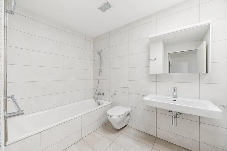 2 Mois LOYER GRATUIT : 27m2 Terrasse sur le toit et vue sur le lac