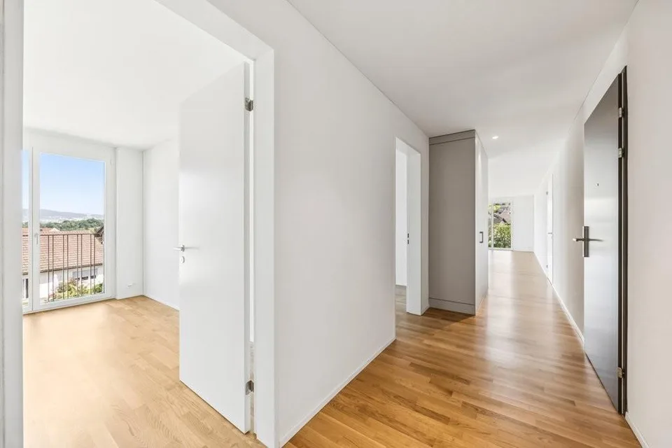 2 Mois LOYER GRATUIT : 27m2 Terrasse sur le toit et vue sur le lac