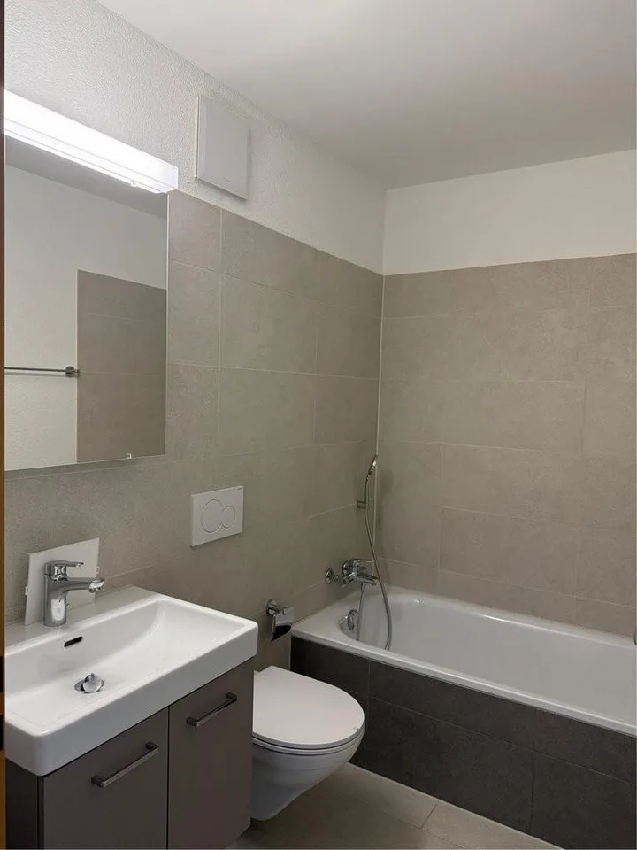 Komfortable 3.5 Zimmer Wohnung in Brugg