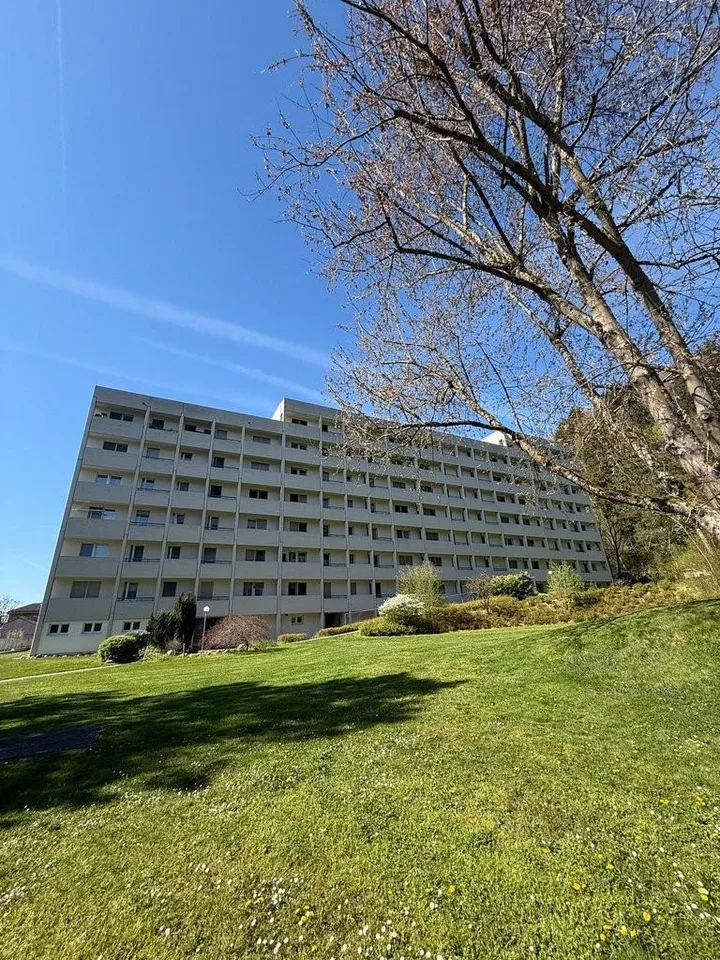 Komfortable 3.5 Zimmer Wohnung in Brugg