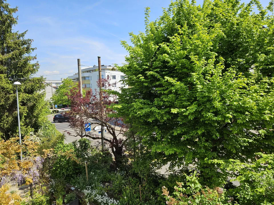 Eine unglaubliche Geschichte geht weiter....Riegelhaus zu vermieten – Foto 14 von 18