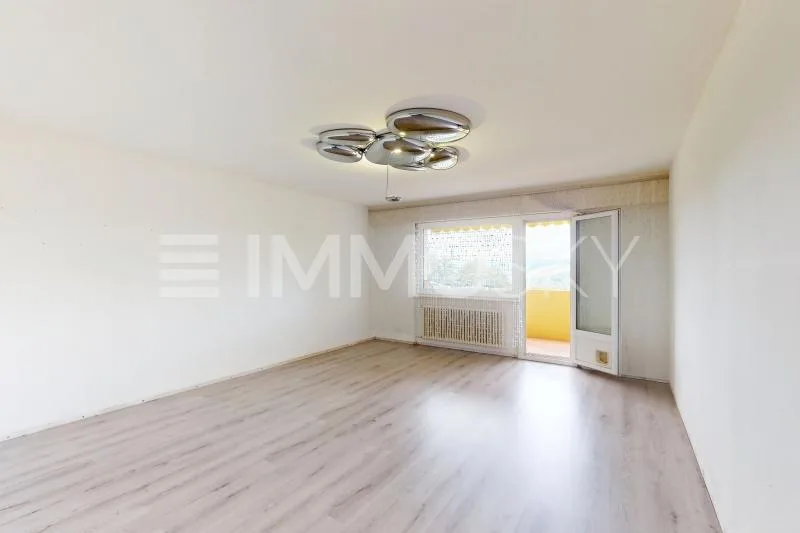 Geräumige 3.5-Zimmer-Wohnung in Chernex mit herrlicher Aussicht