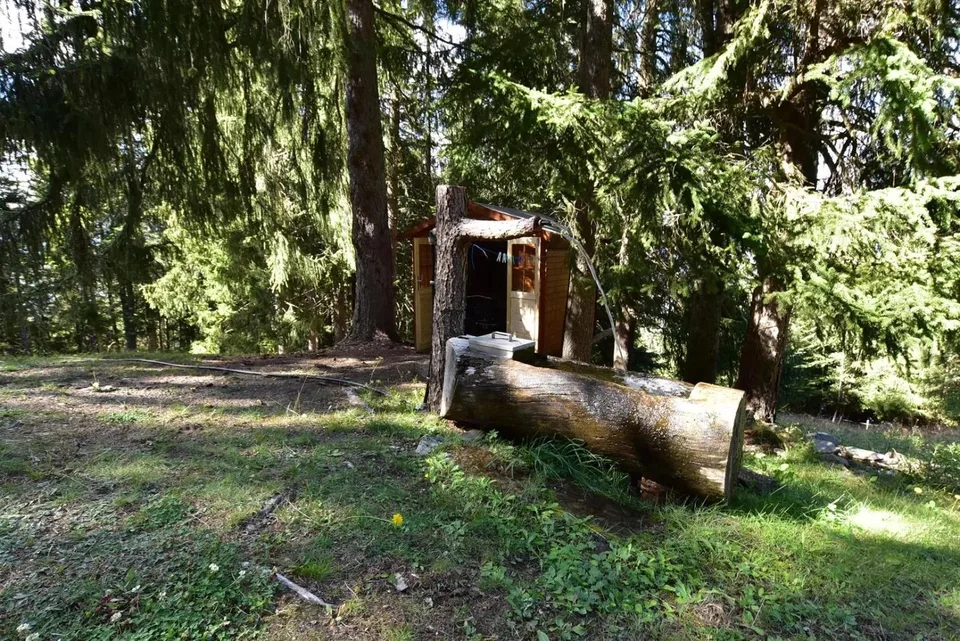 Maiensäss unique dans la nature intacte – photo 17 sur 18