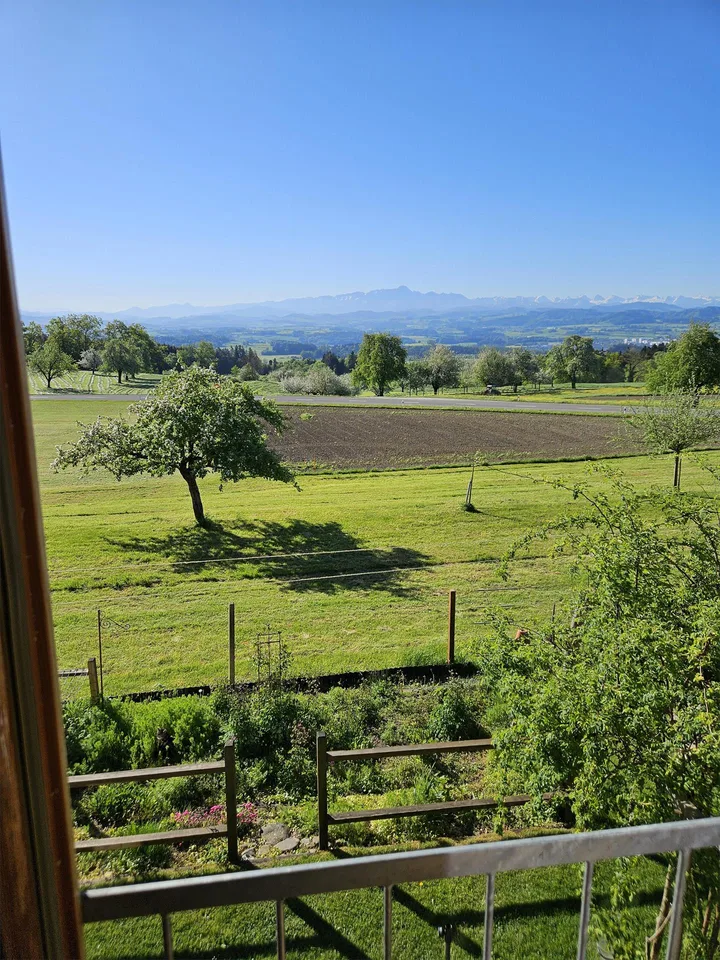 Panoramablick mit Privatsphäre – Foto 11 von 11