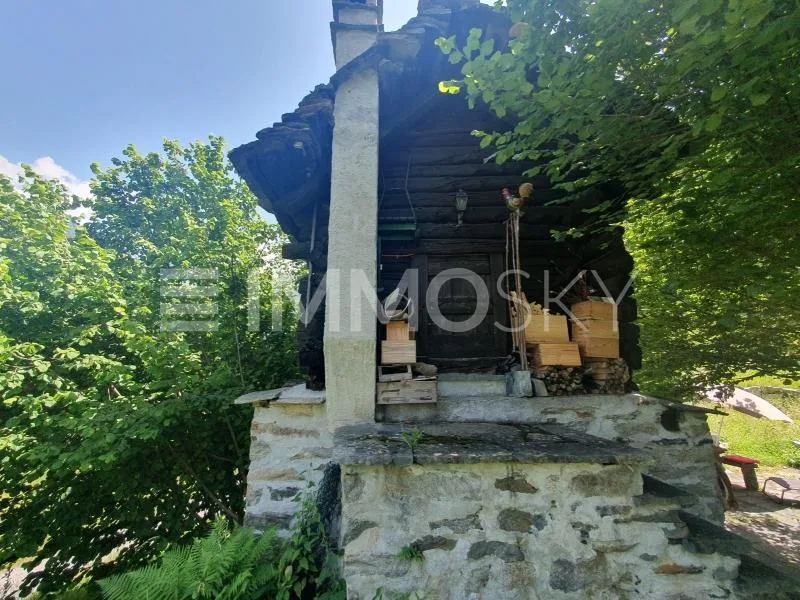 The Alpine Nest